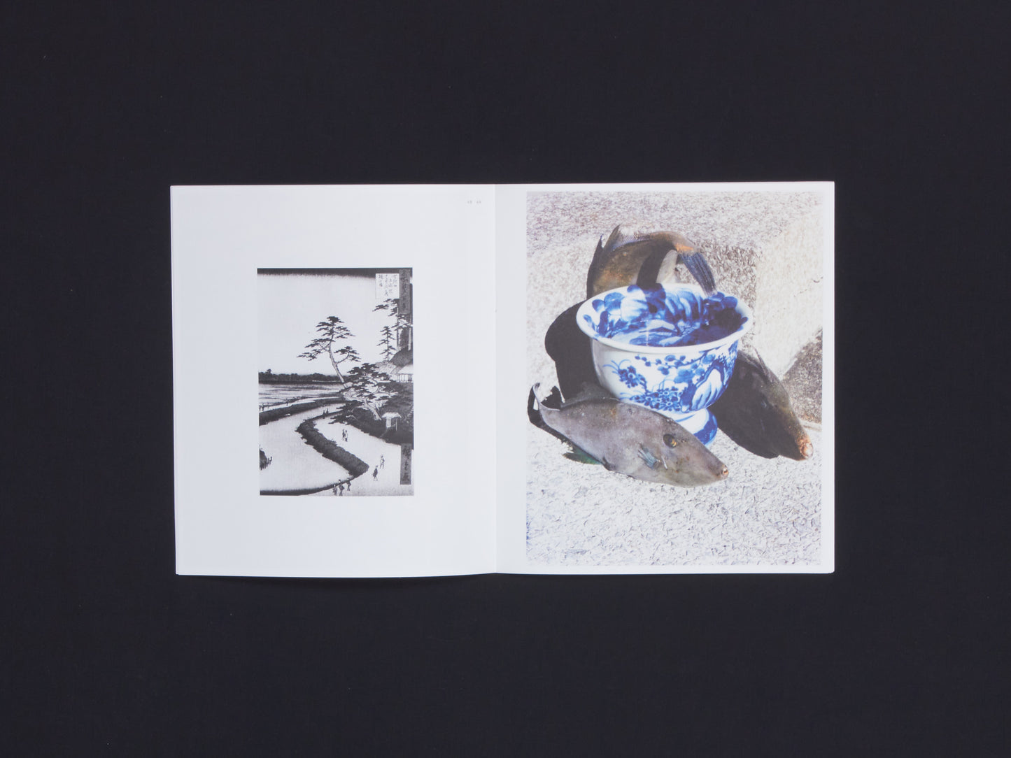 Naohiro Harada, Tokyo Fishgraphs II