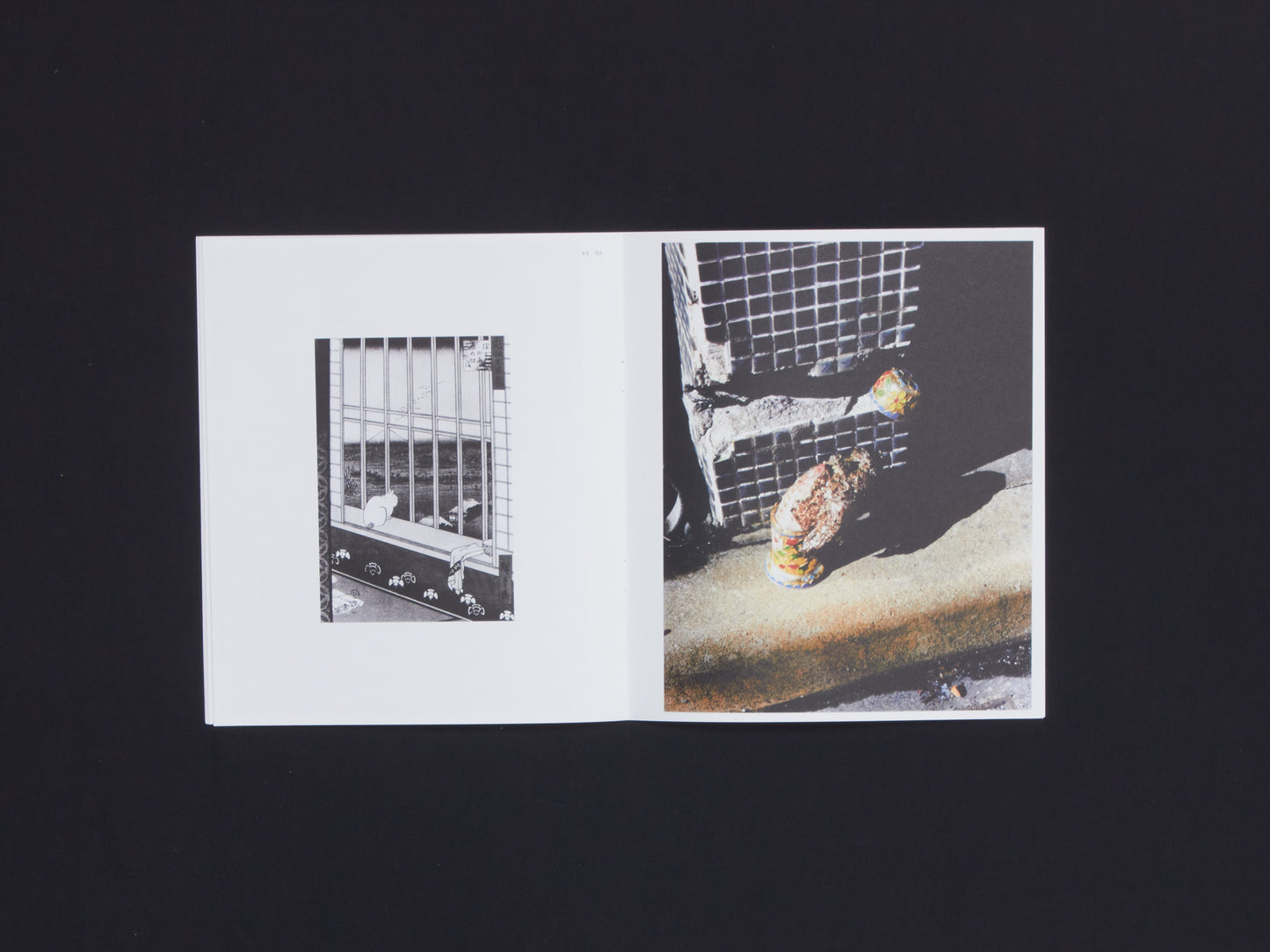 Naohiro Harada, Tokyo Fishgraphs II