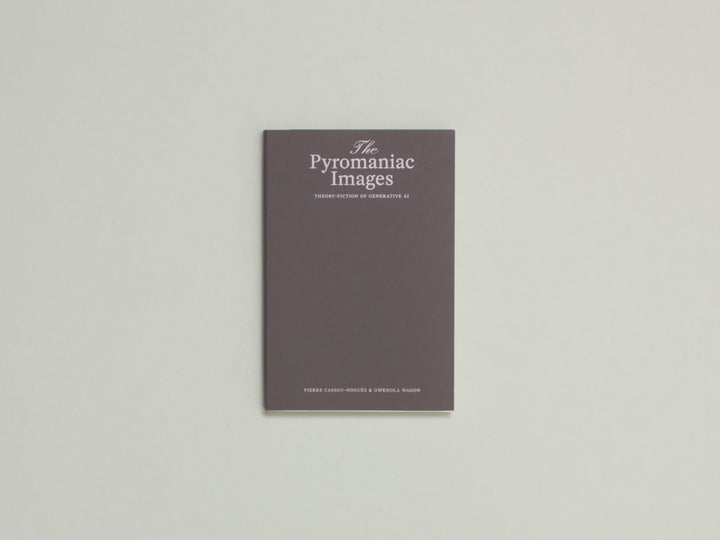 The Pyromaniac Images: Theory-Fiction of Generative AI