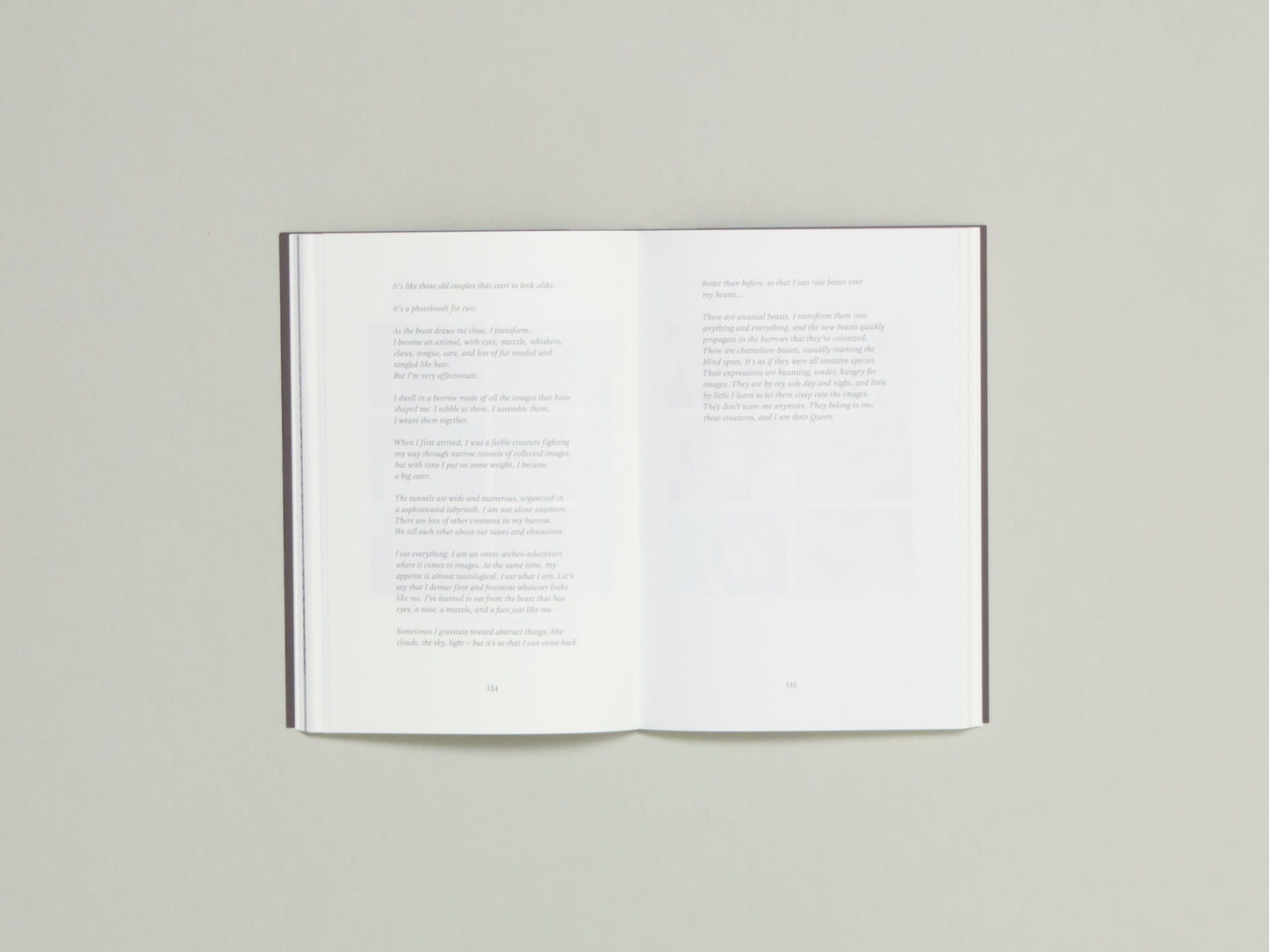 The Pyromaniac Images: Theory-Fiction of Generative AI