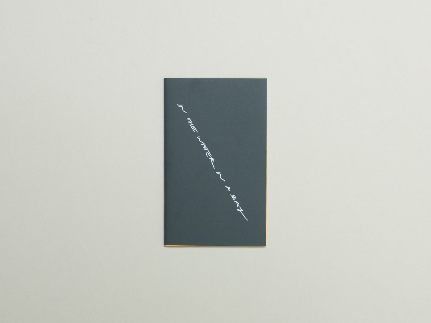Caitlin Merrett King and David Roeder, IN THE WATER IN A BAY