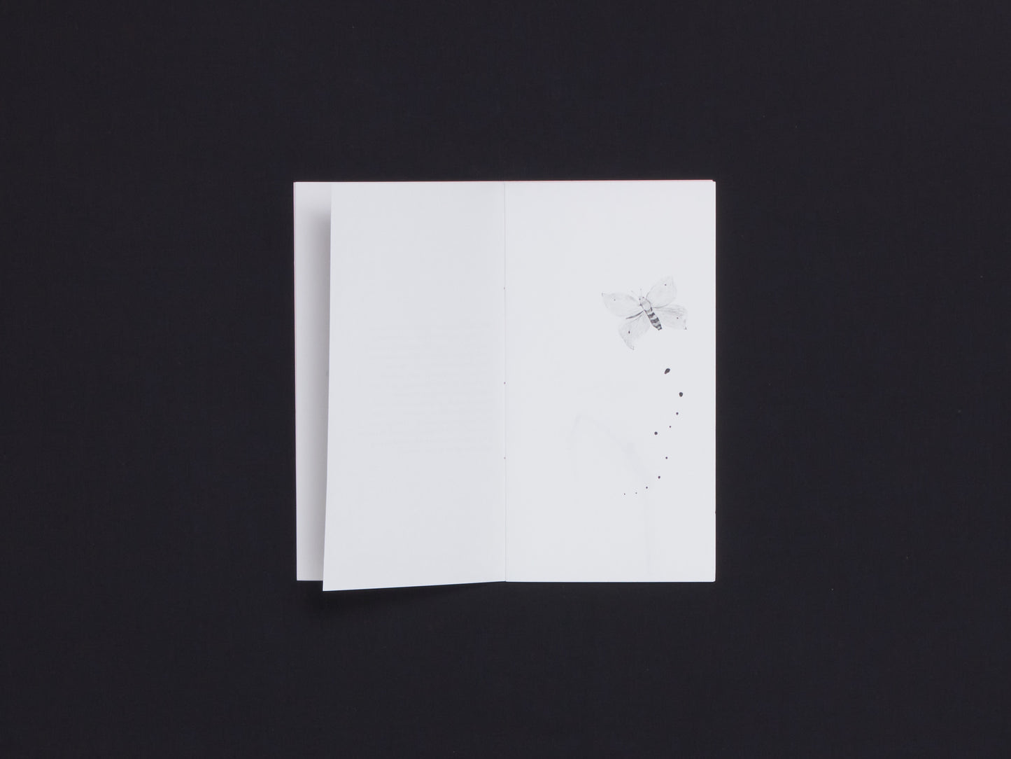The Ordinary Society for Kindness to All Animals in the Art World Manifesto