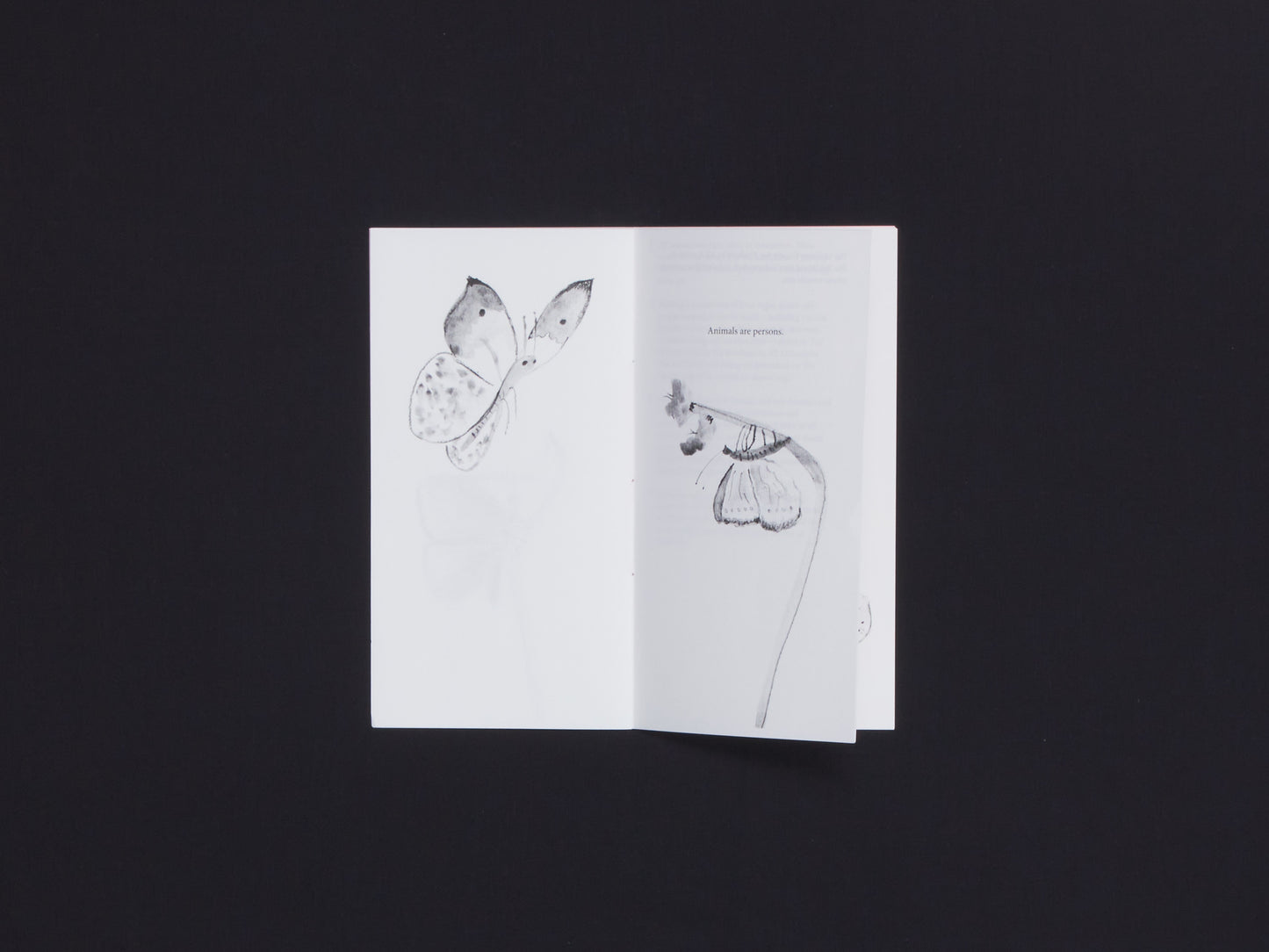 The Ordinary Society for Kindness to All Animals in the Art World Manifesto