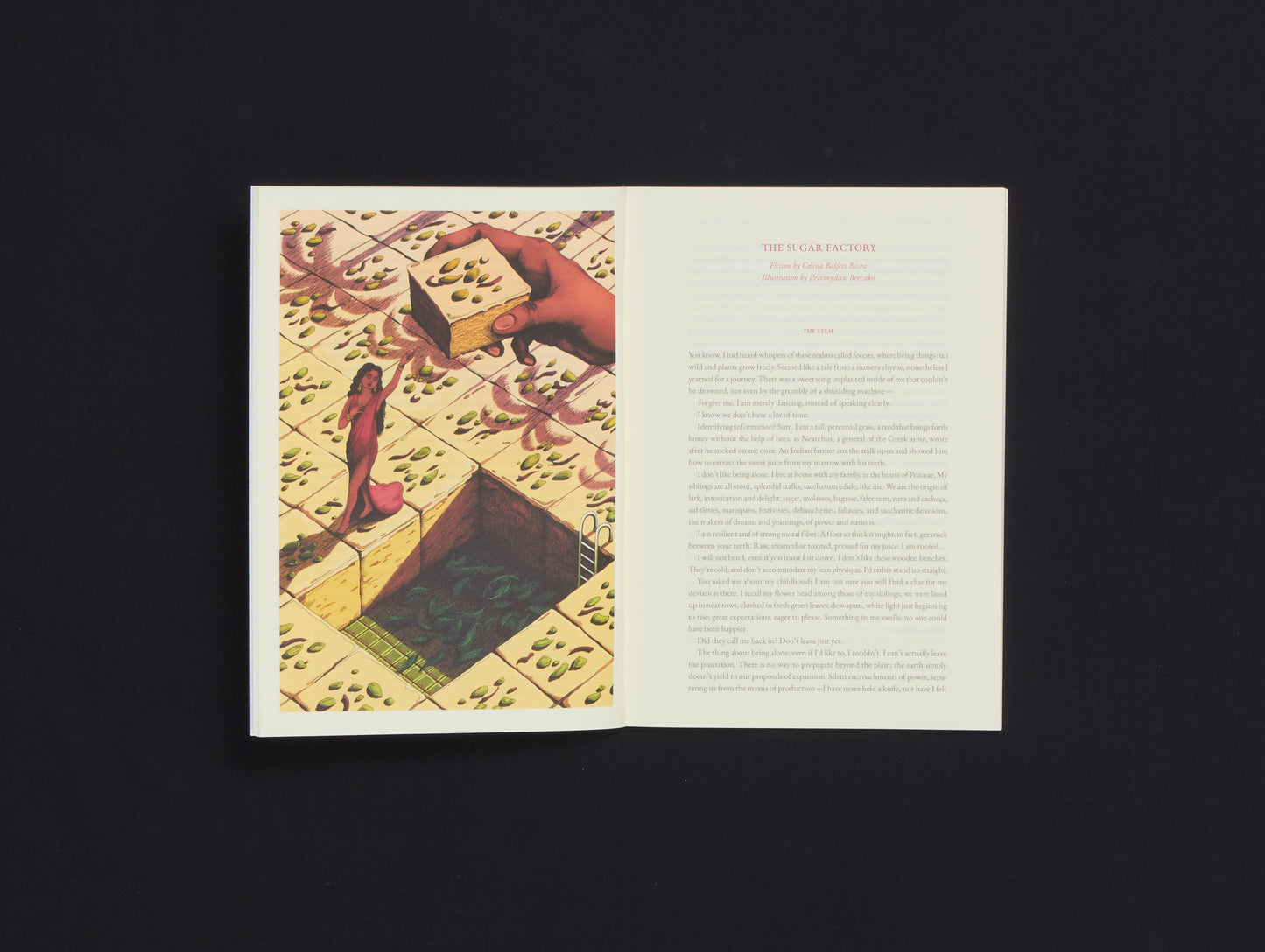 Cake Zine Volume 5: Candy Land