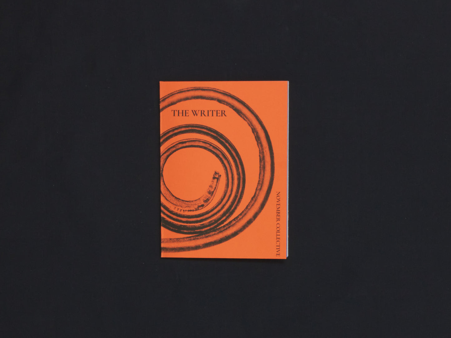 The November Collective, The Writer