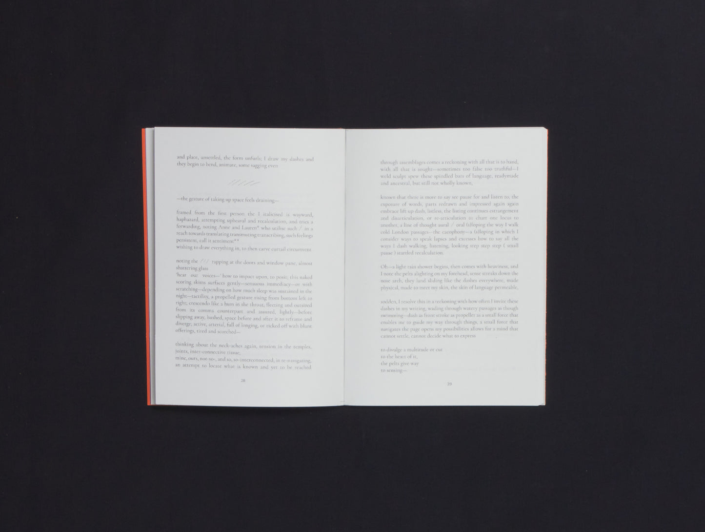 The November Collective, The Writer