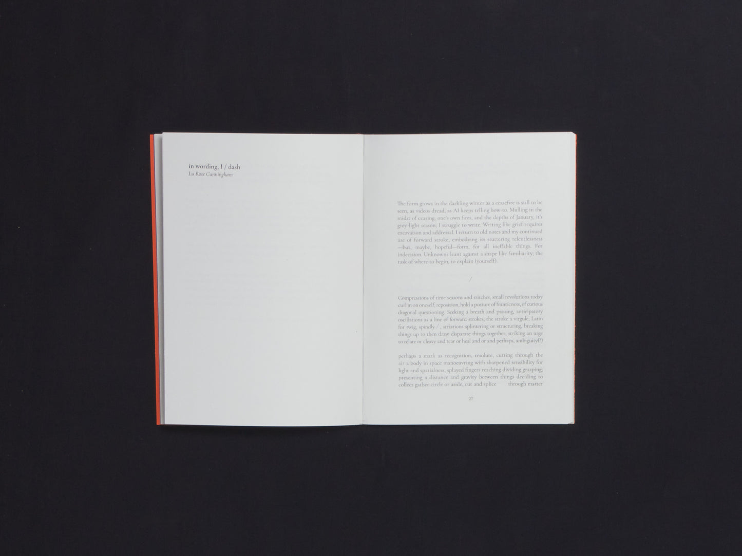 The November Collective, The Writer