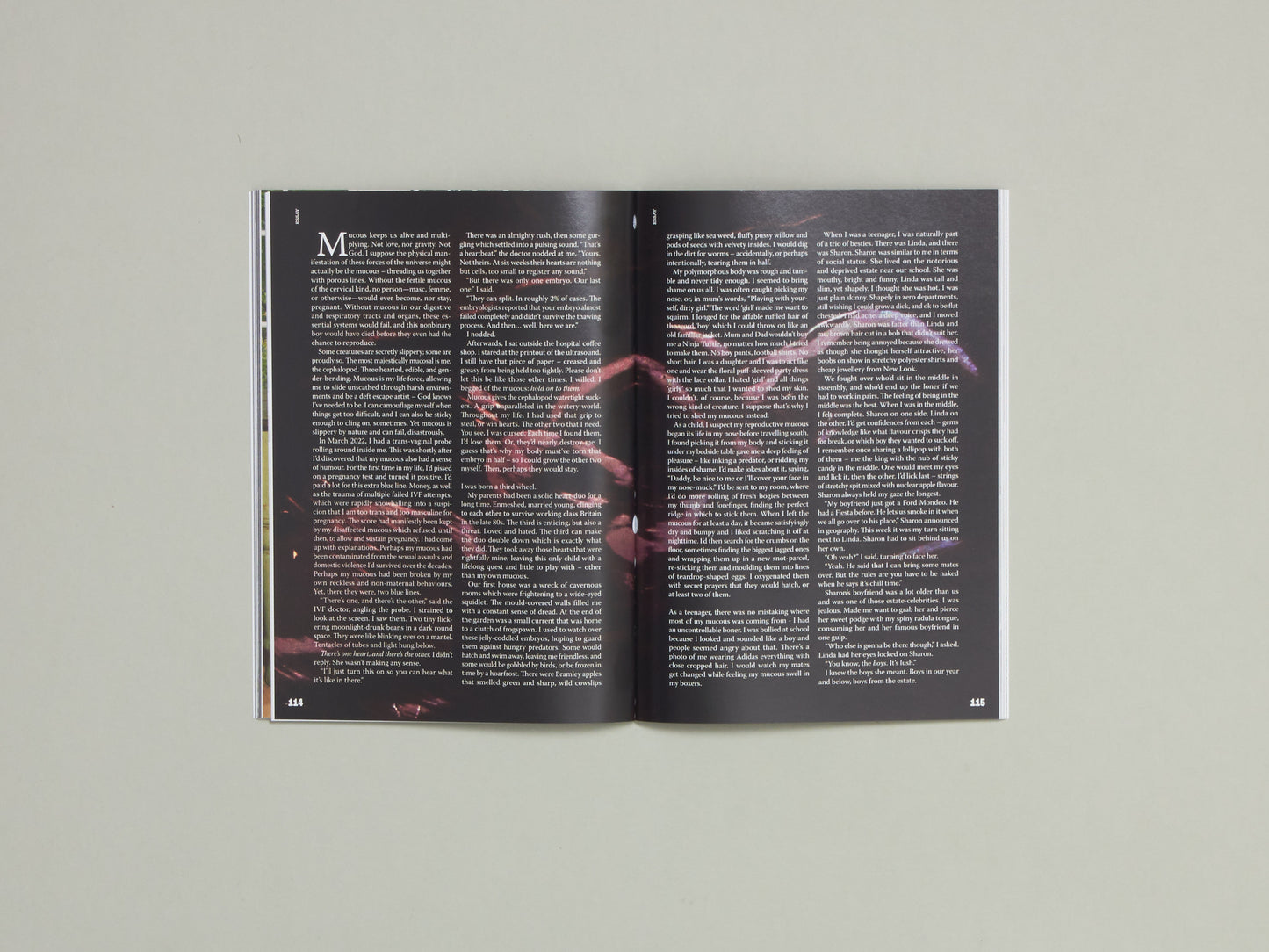 Worms Issue 12