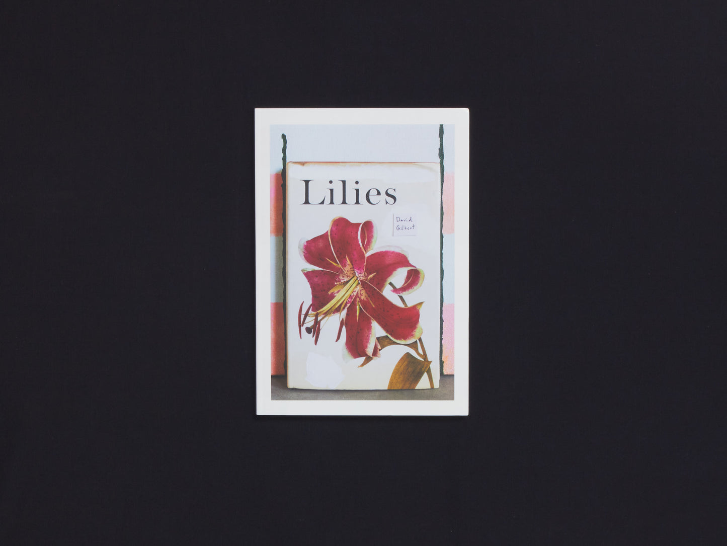 David Gilbert, Lilies