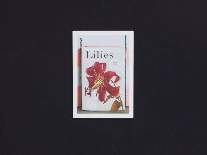 David Gilbert, Lilies