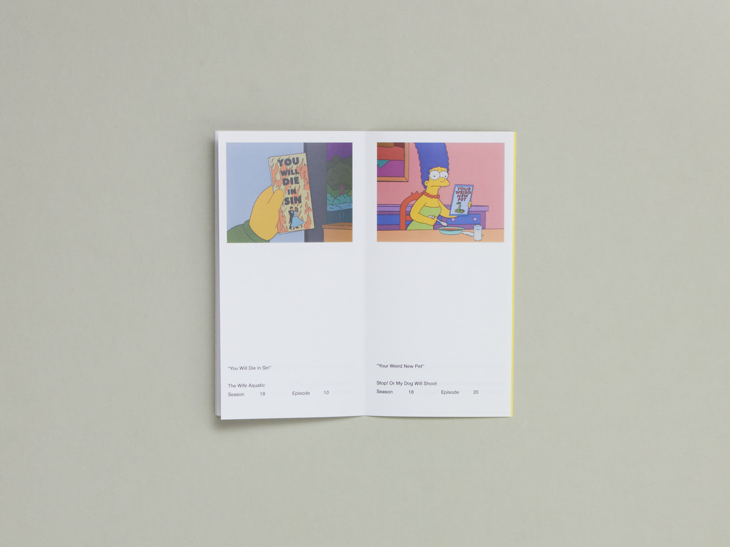 So You've Purchased A Simpsons Pamphlet Zine