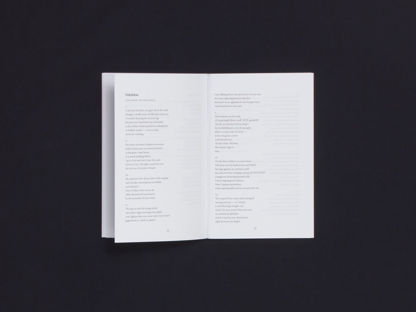 Clara-Læïla Laudette, Appetite