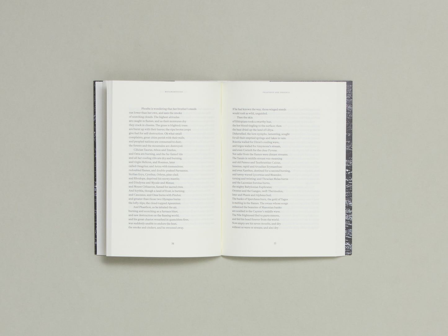 Metamorphoses - Mathilde Albouy