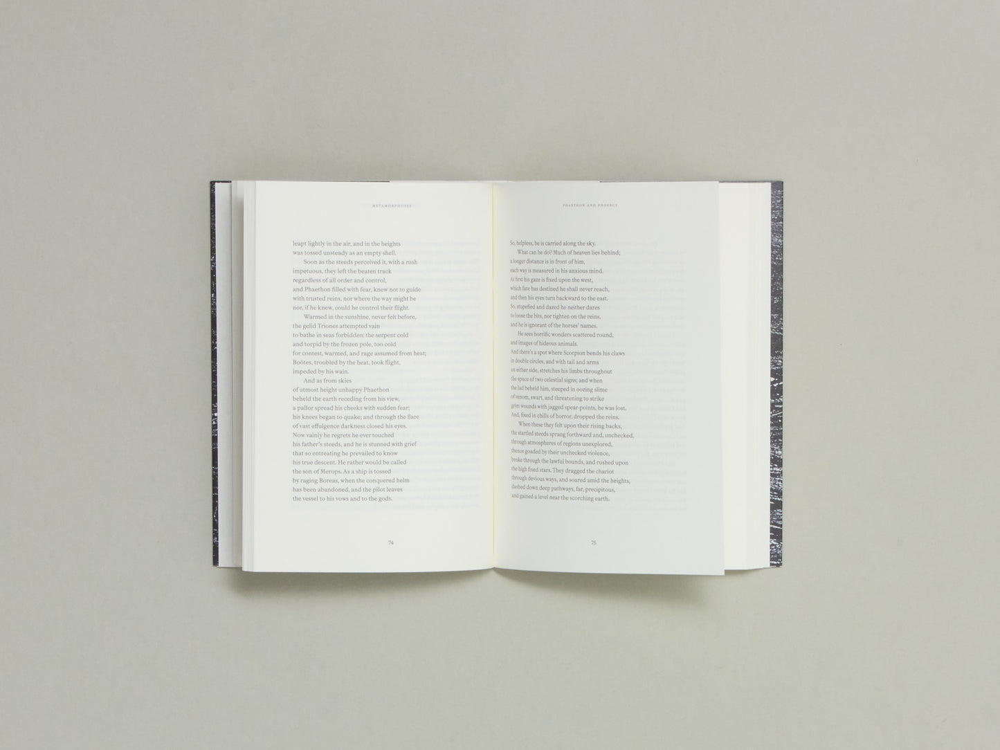 Metamorphoses - Mathilde Albouy