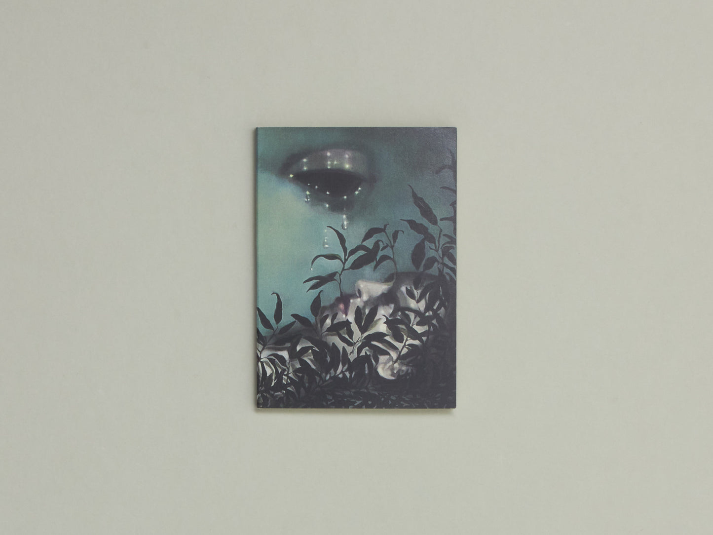 Metamorphoses - Tali Lennox