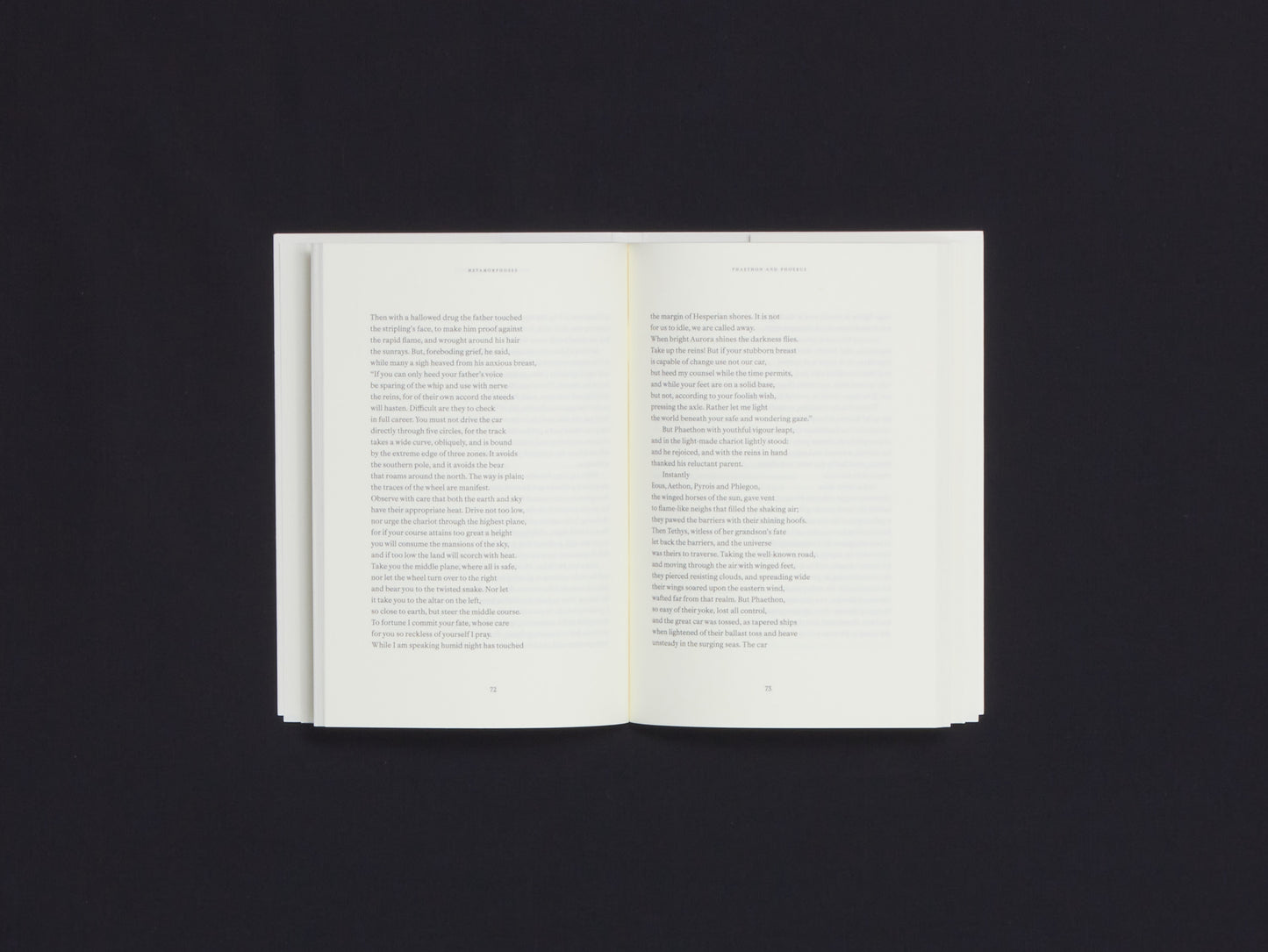 Metamorphoses - Elsa Rouy
