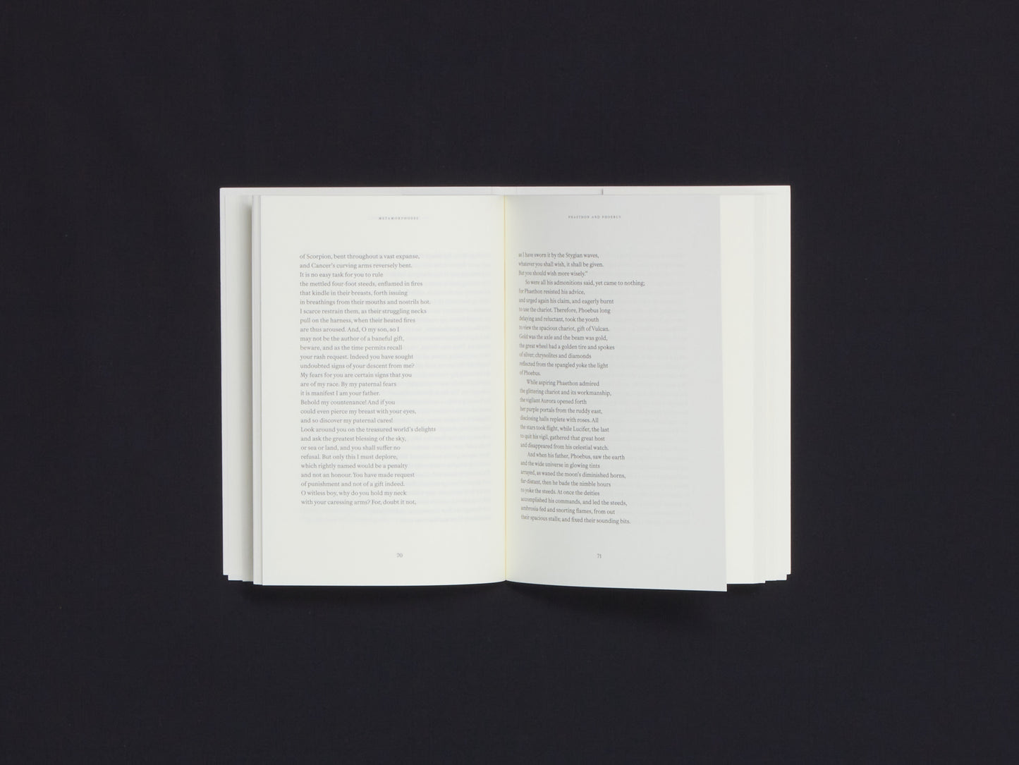 Metamorphoses - Elsa Rouy