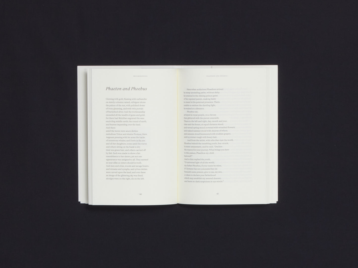 Metamorphoses - Elsa Rouy