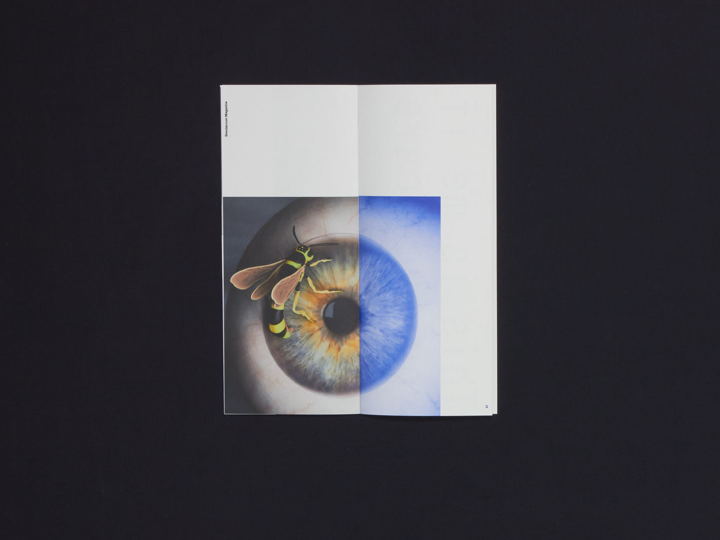 Simulacrum Issue 34#2: Motherboard