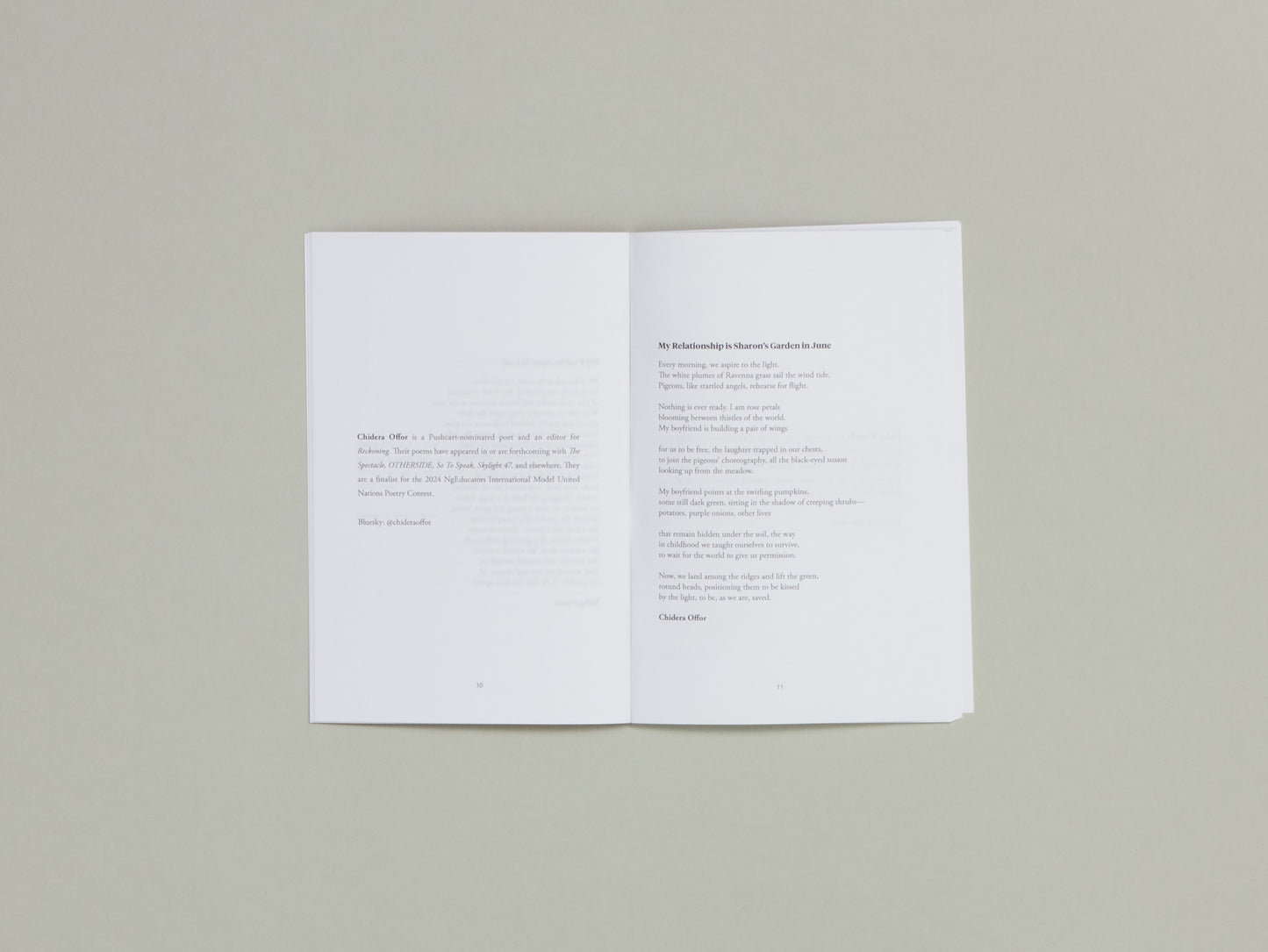 Fourteen Poems Issue 20