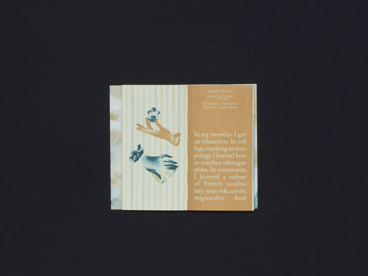Cake Zine Volume 8: Spoiled Rotten
