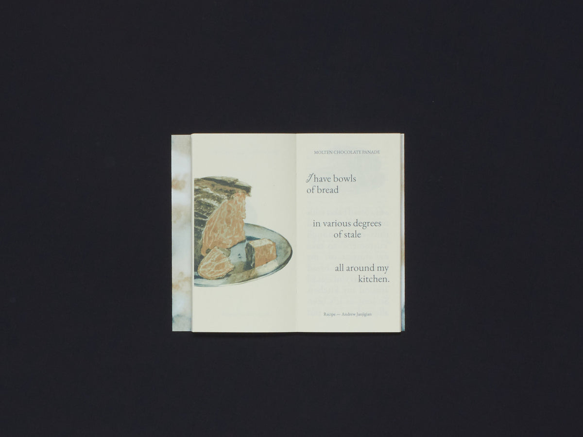 Cake Zine Volume 8: Spoiled Rotten