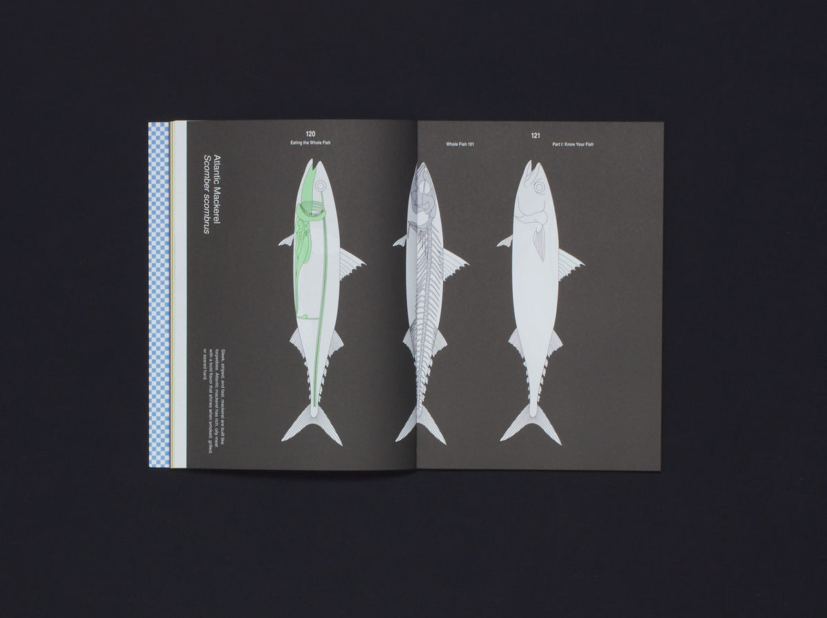 BEAM Studio, Eating the Whole Fish