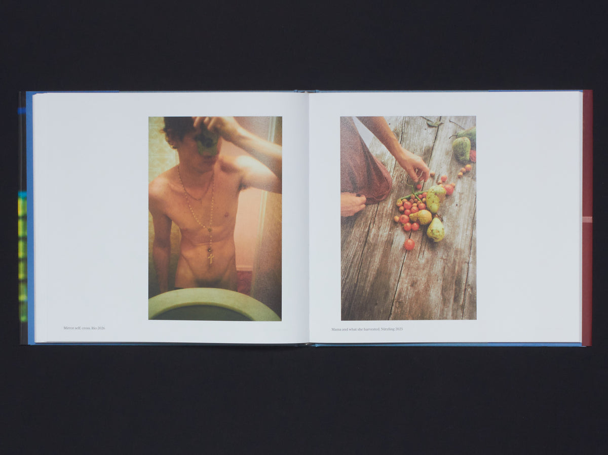 Vincent Wechselberger, Dreams and How to Keep Them