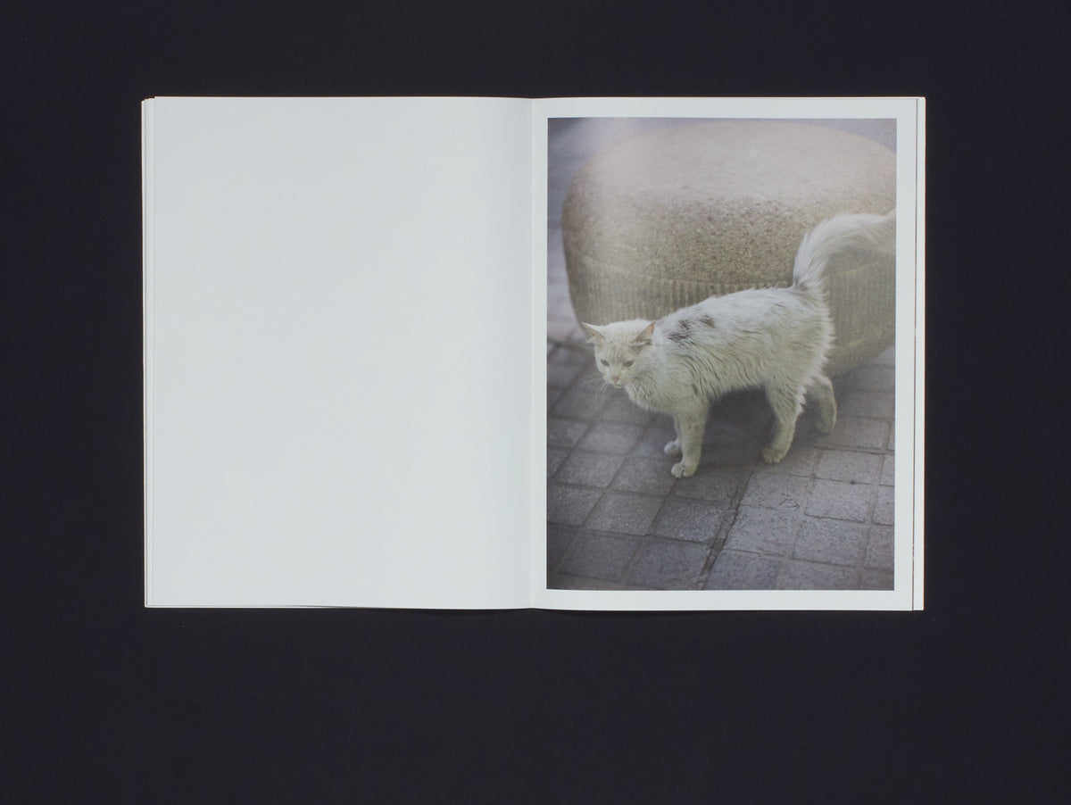 Sebastien Arrighi, Fall Off