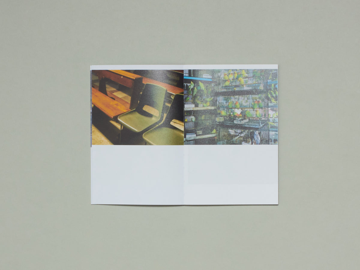 Kalpesh Lathigra, What Remains Is All I See