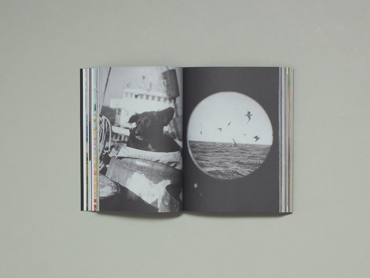 Acid Magazine, Issue 8: Liquid After All