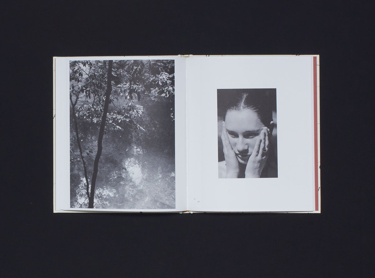 Shannon Cavarocchi, Song for the Siren