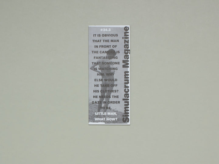 Simulacrum Magazine: Little man, what now?
