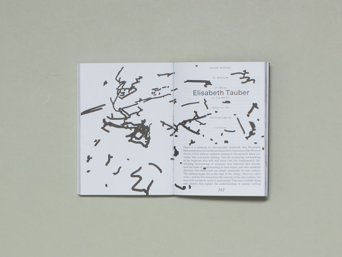 Giulia Cordin, Assume Nothing