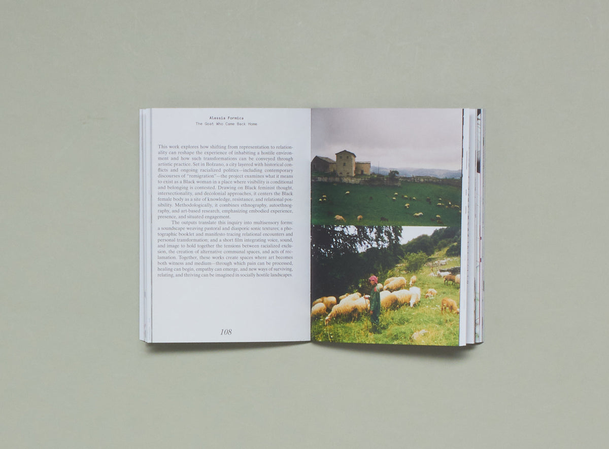 Giulia Cordin, Assume Nothing