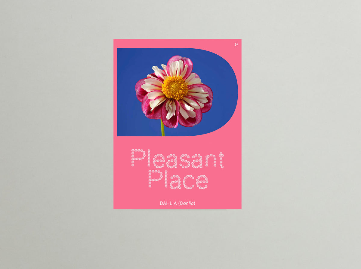 Pleasant Place Issue 9: Dahlia