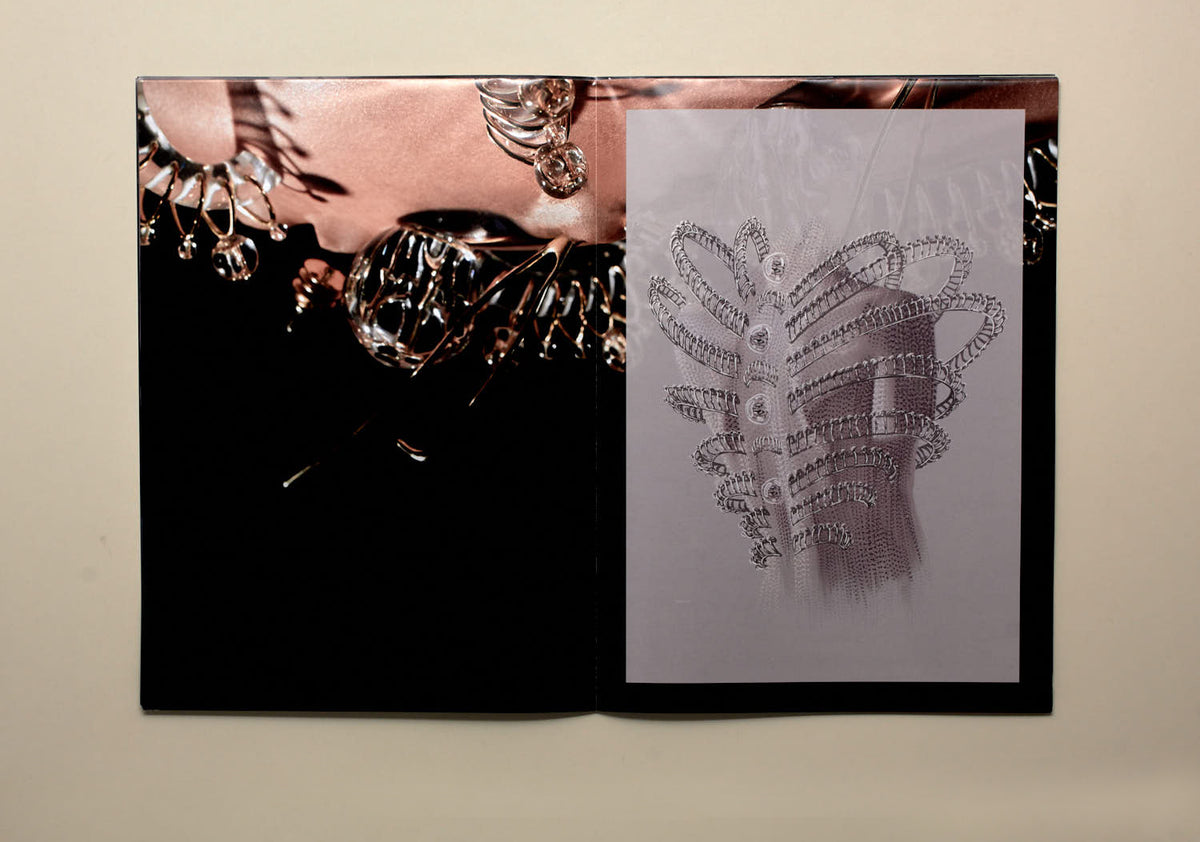Current Obsession Current Obsession #8, Chapter IV: Becoming-With – Public Knowledge