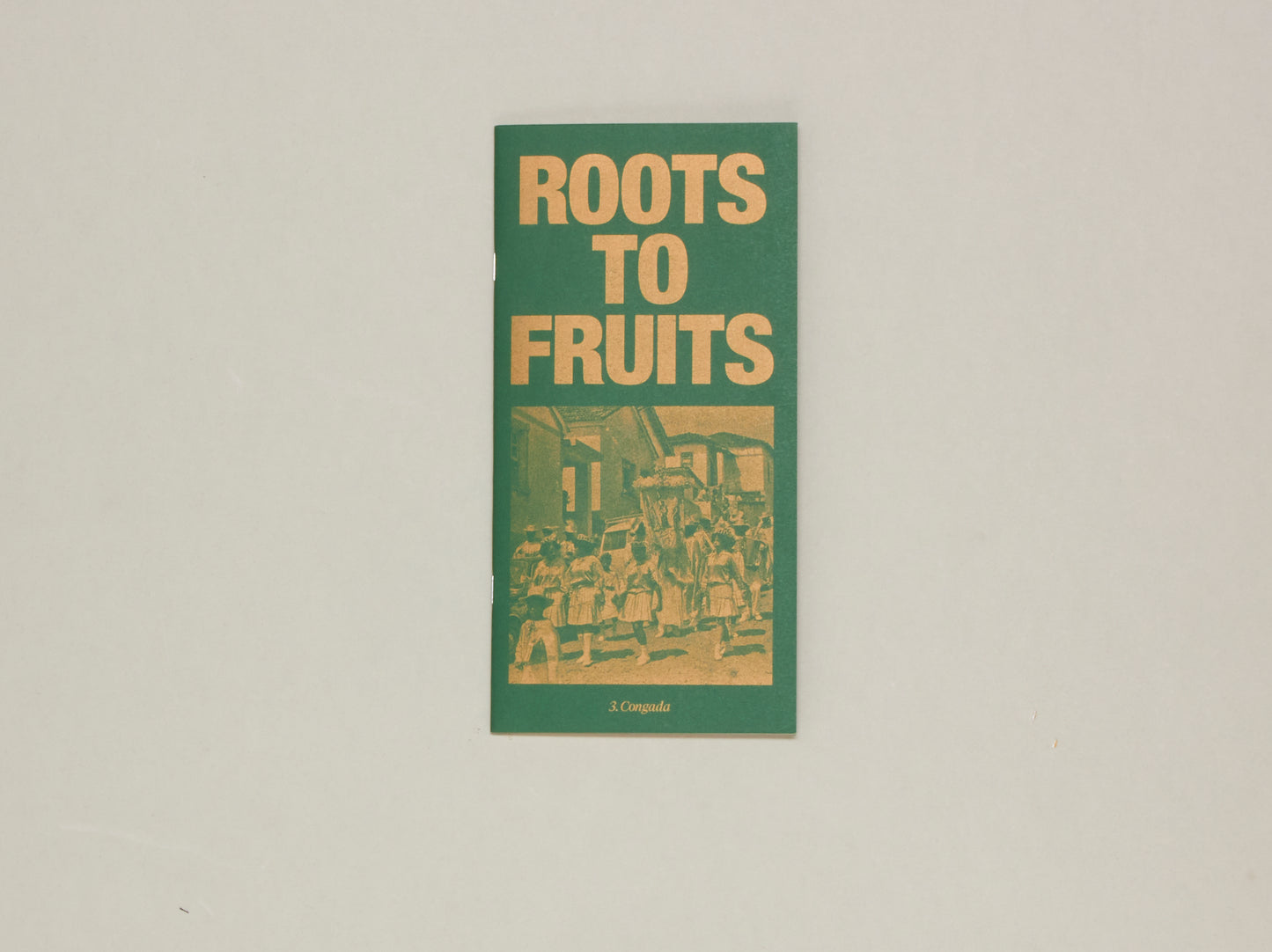 Roots to Fruits Nº3: Congada