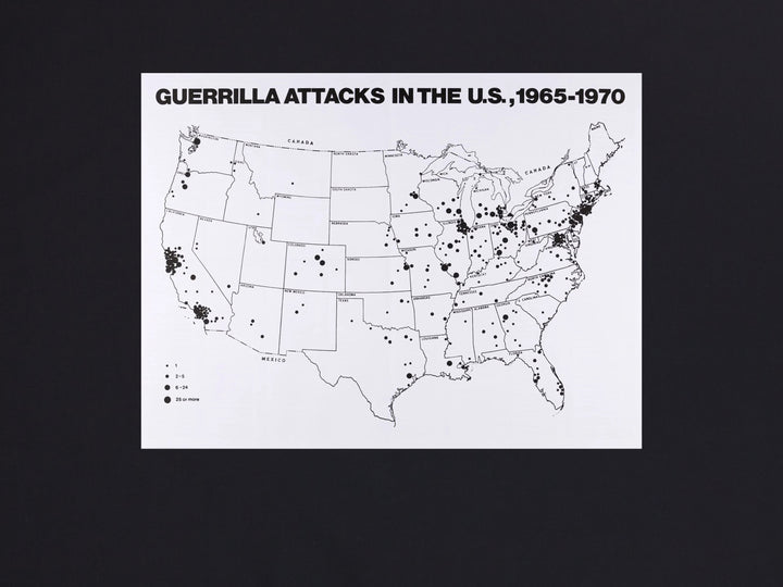 Guerilla Attacks in the US