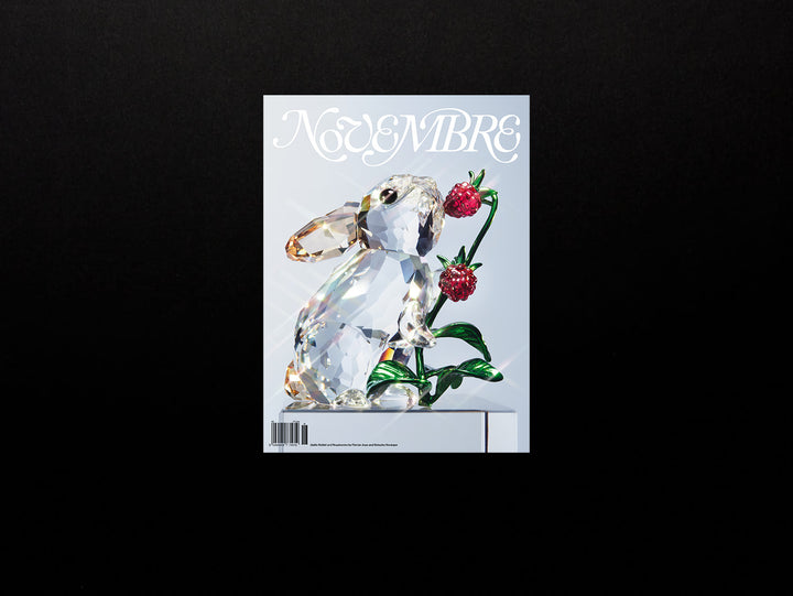 Novembre, Issue 18