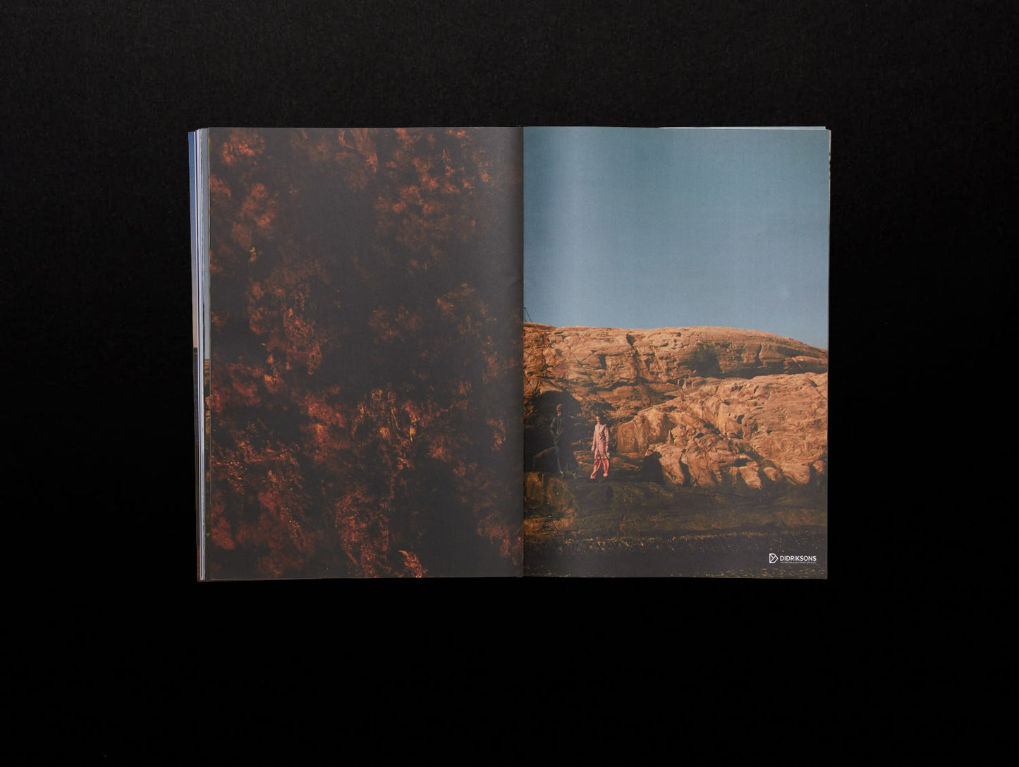 Peak Magazine, Volume 5