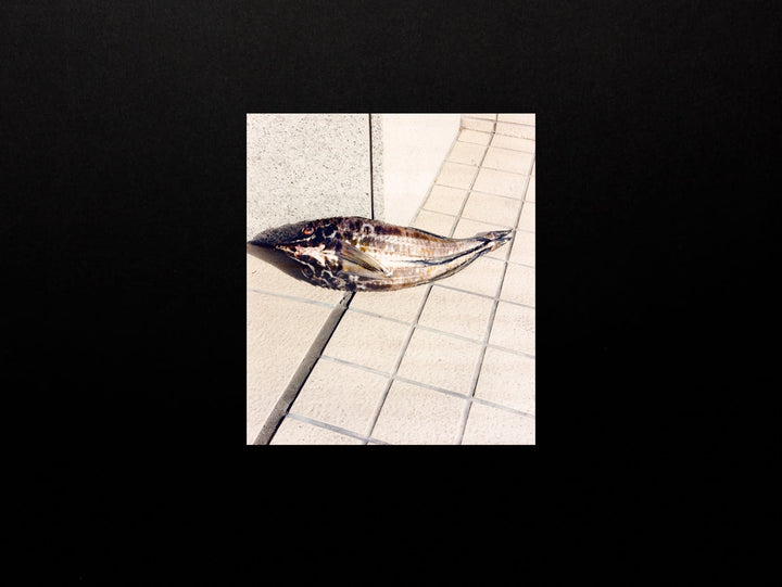 Naohiro Harada, Tokyo Fishgraphs II