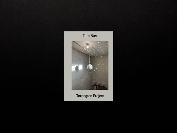 Tom Burr, Torrington Project